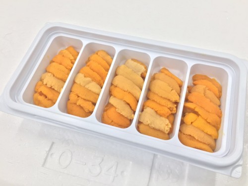 朝鮮馬糞海膽