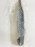 獨立開邊青魚 